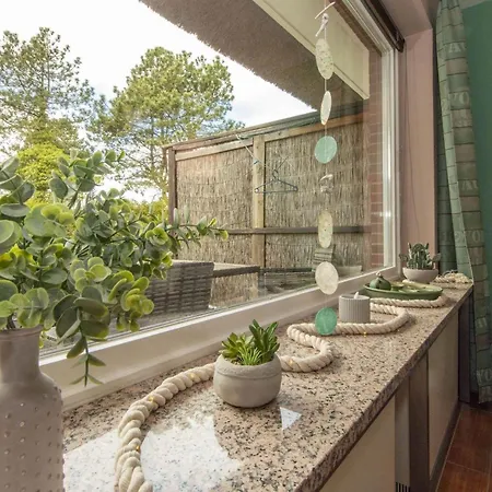 An Dünen Und Ferienhaus